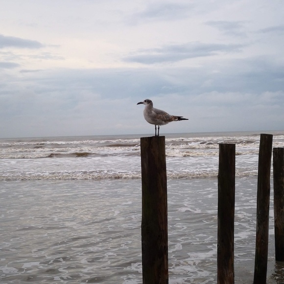 Meet your Posher, Martin - Picture 1 of 1